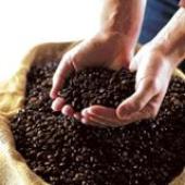 Pvt firms need to sell shares worth $1.8 b