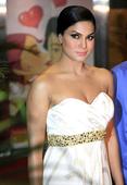 PIX: Sexy Veena Malik SIZZLES at Zindagi 50-50 premiere