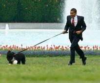 Politicians and their adorable pets