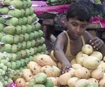 Now, mango named after Delhi gangrape victim