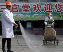 New bird flu may be capable of human to human spread: study